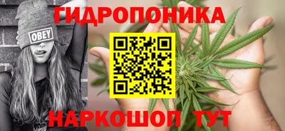 прущие крисы Комсомольск-на-Амуре
