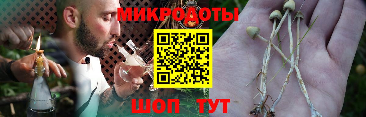 Псилоцибиновые грибы ЛСД Крымск
